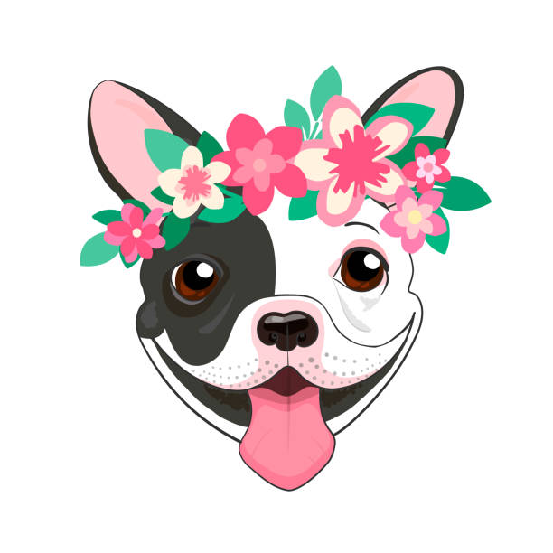 ilustrações de stock, clip art, desenhos animados e ícones de french bulldog in black and white with a wreath of pink flowers.  vector illustration dog, isolated on white background - animal tongue