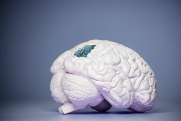 Brain Connect Computer 340+ Embedded Computer Stock Photos, Pictures & Royalty-Free Images ...