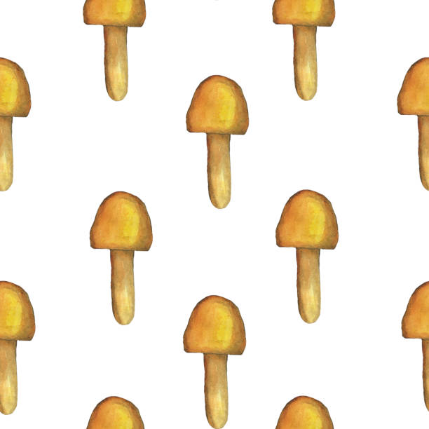 istock Cartoon mushroom seamless pattern on white background. Watercolor hand drawing illustration. Perfect for wallpaper, digital paper, print. Yellow toadstool mushroom. 1331185577