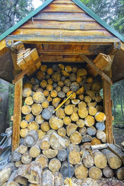istock Woodshed Filled with Firewood 1331187429