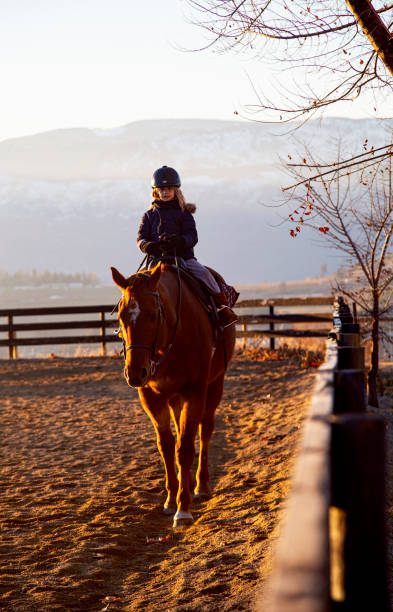 istock Horse Riding Lessons 1 1331187528