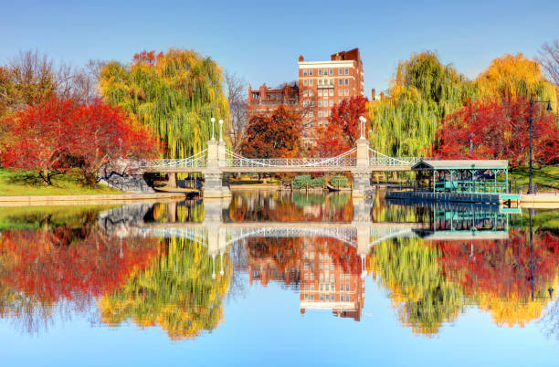 herbst im boston public garden - vibrant color image leaf lush foliage stock-fotos und bilder