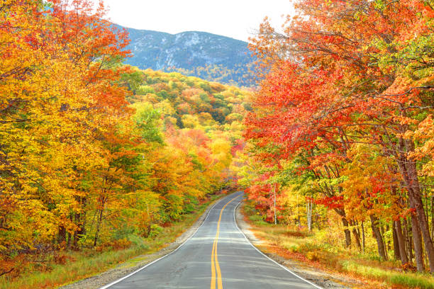 istock Grafton Notch State Park in Maine 1331191950