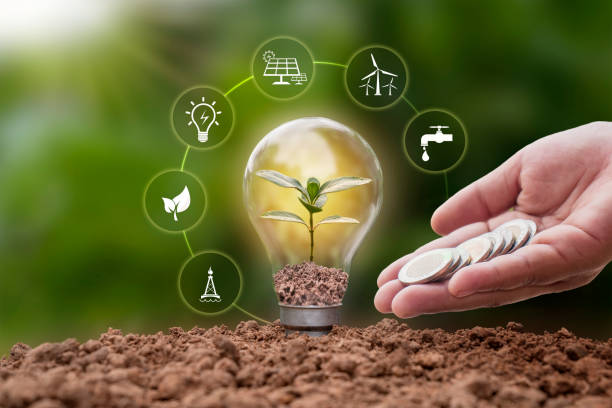 istock Tree growing in fluorescent energy saving lamp and soil energy icon, energy, and environment concept. 1331195388