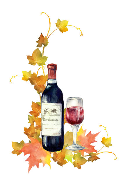 ilustraciones, imágenes clip art, dibujos animados e iconos de stock de vino tinto de acuarela con hojas de otoño - japanese maple autumn leaf tree