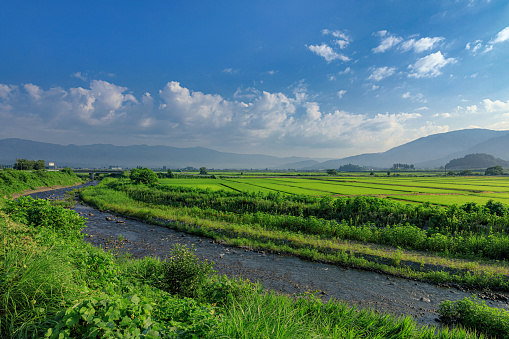 This is a summer morning scenery at Kijimadaira village in Nagano prefecture, Japan.
Kijimadaira village is well known as a very good rice production area, also widely known its beautiful landscape.