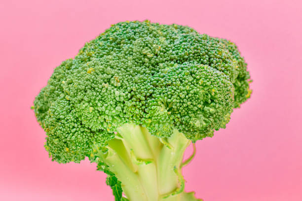 istock Fresh and Raw Broccoli Against the Pink Background. Uncooked Green Cabbage 1331201024