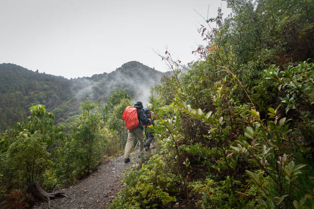 туристическая прогулка по тропе кумано кодо под дождем среди туманных гор. кумано кодо - это серия древних паломнических маршрутов, которые - kii стоковые фото и изображения
