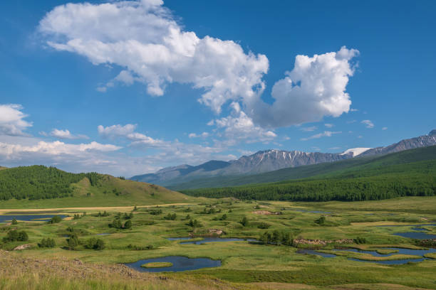 istock mountains lake forest sky clouds summer 1331215633