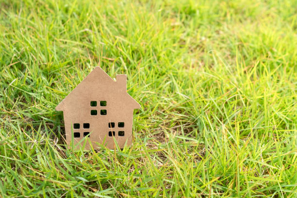 istock Closed up tiny home model on green grass with sunlight background. 1331217112
