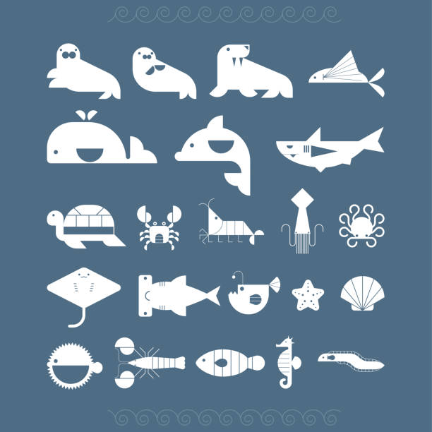 illustrazioni stock, clip art, cartoni animati e icone di tendenza di set di creature marine. - pesce volante immagine