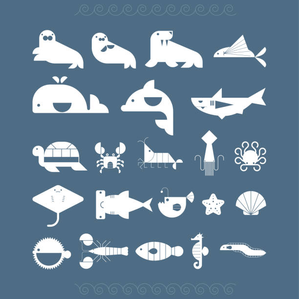 Sea creatures set. vector design illustrations. sea otter stock illustrations