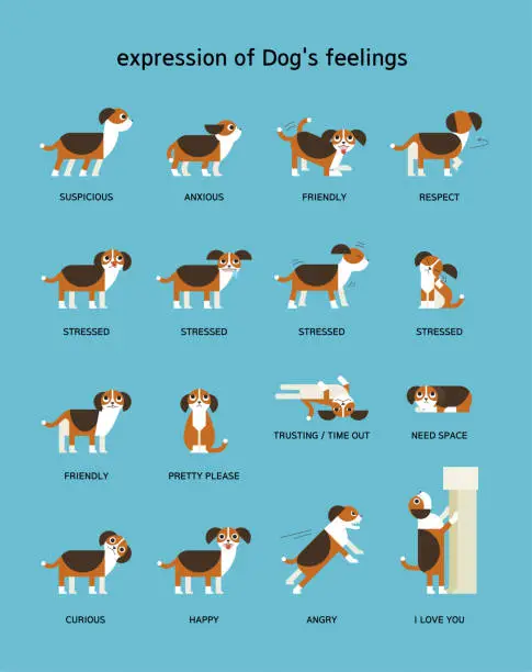 Vector illustration of Dog language poster