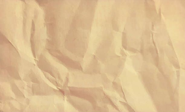 illustrations, cliparts, dessins animés et icônes de blanc vide de couleur brun terne grunge froissé papier recyclé fond vectoriel horizontal - brown paper paper crushed wrinkled