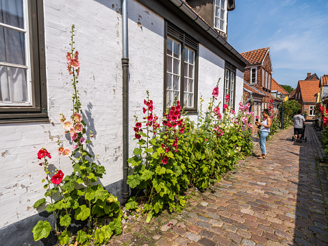 Ribe, in south-western Jutland, is Denmark's oldest town. It goes back to early 8th century.