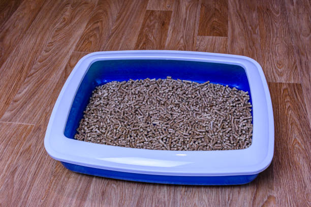 istock Pet litter box with filler on a floor 1331228446