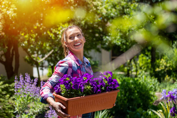 young woman taking care of flowers in garden - petunia imagens e fotografias de stock
