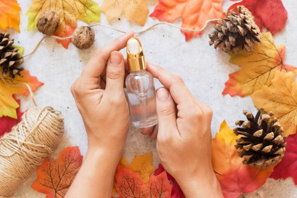 autumn spa concept with essential oil bottle in female hands, dried leaves, pine cones on grey background. organic cosmetic - drop herbal medicine leaf perfume imagens e fotografias de stock