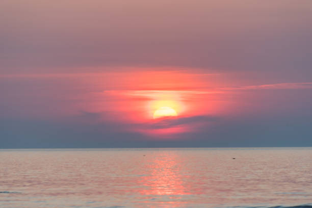 istock Pink Summer Sunset on the Baltic Sea 1331237457