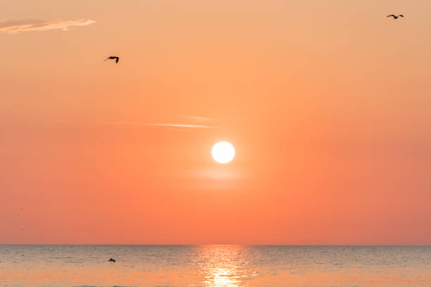istock Orange Sunset on the Baltic Sea in Summer 1331237688