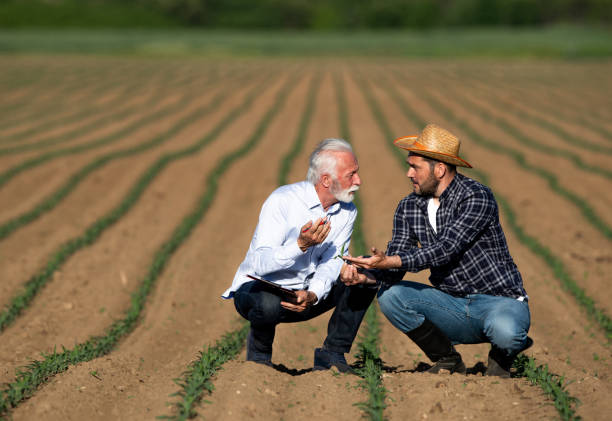 istock Farmer and insurance sales representative talking in field 1331241138