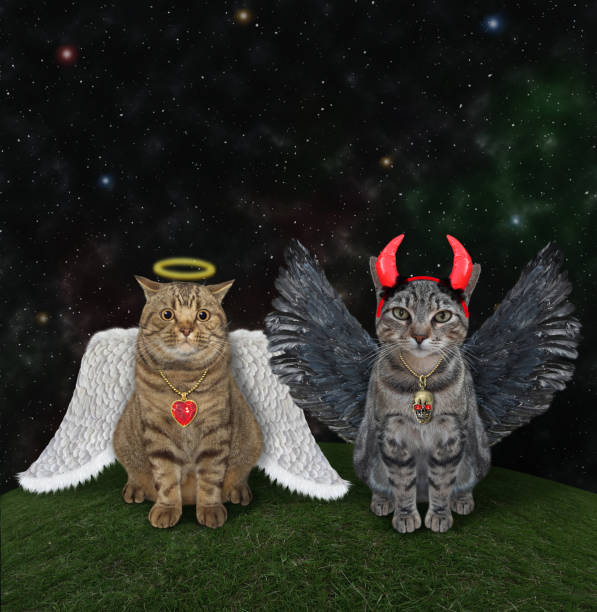 istock Cat angel and cat devil on lawn 3 1331241154