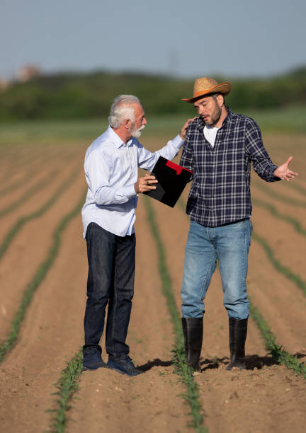 istock Farmer and insurance sales representative talking in field 1331241160