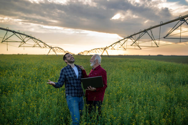 istock Two farmers in rapeseed field with irrigation system in background 1331241199