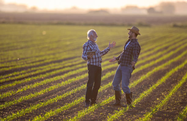 istock Two farmers talking in corn field in spring 1331241201