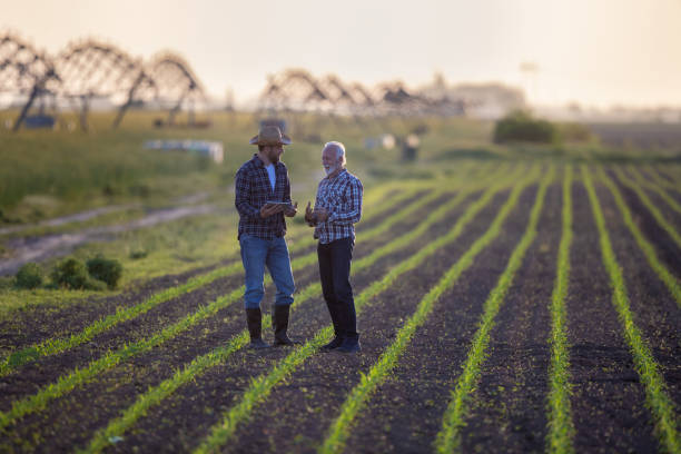 dos agricultores en campo de maíz con sistema de riego en segundo plano - watering place fotografías e imágenes de stock