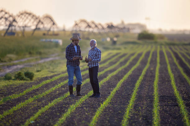 Two farmers standing in corn field in front of irrigation system. Two men talking using tablet technology for agriculture.