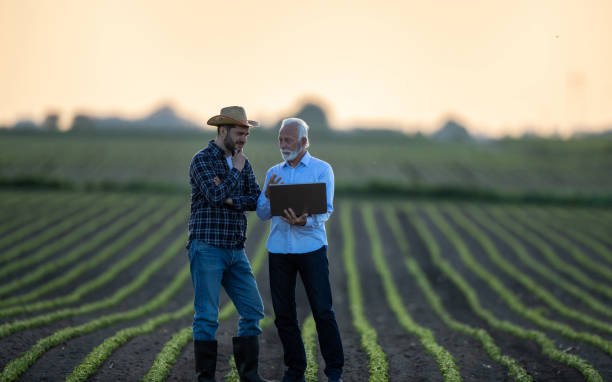 istock Farmer and insurance sales representative talking in field 1331241253