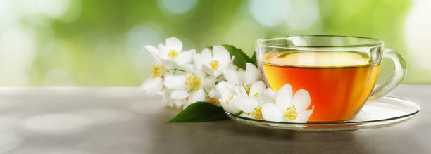 istock Cup of jasmine tea and fresh flowers on grey table outdoors, space for text. Banner design 1331242362
