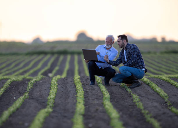 istock Farmer and insurance agent talking in agricultural field in spring 1331245247