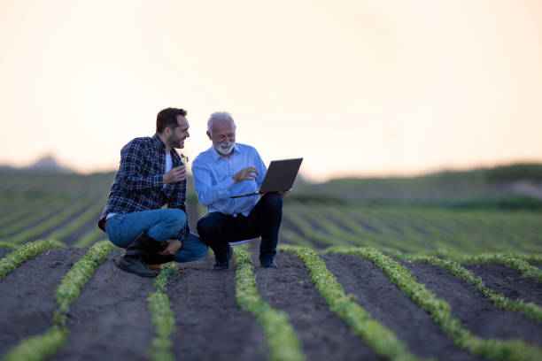 istock Farmer and insurance agent talking in agricultural field in spring 1331245281