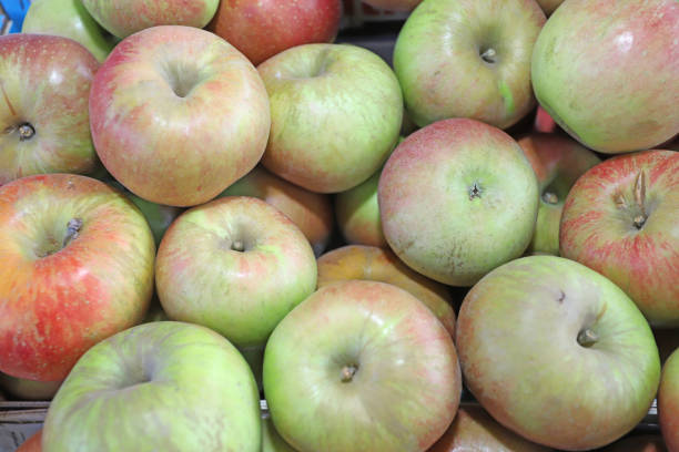 primer plano de la pila de manzanas - texute fotografías e imágenes de stock