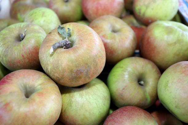 primer plano de la pila de manzanas - texute fotografías e imágenes de stock