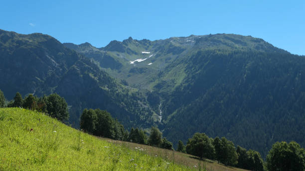 istock Pastures in Alps at summer. 1331250686
