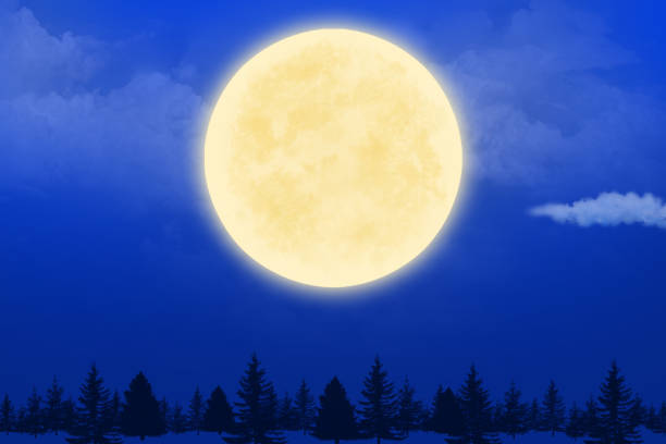 istock full moon and the clouds and the forest in the night 1331250710