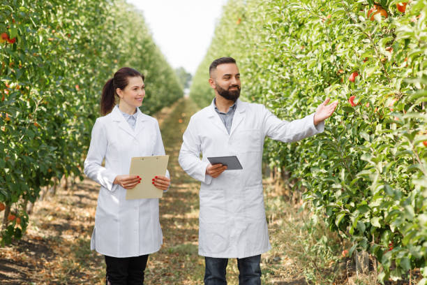 istock Orcharding, farmers working in farm, making notes, agricultural 1331253955