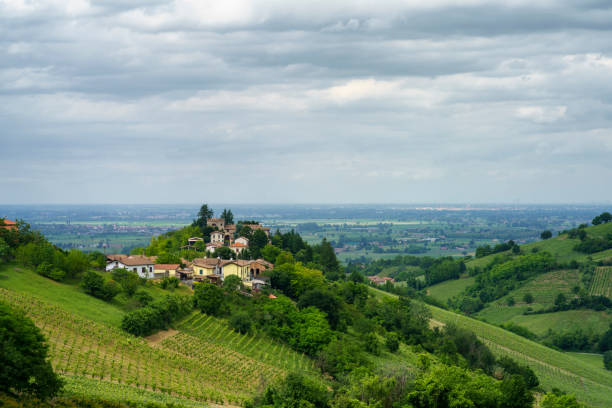 istock Vineyards in Oltrepo Pavese, italy, at springtime 1331257244