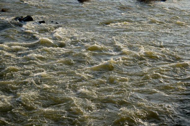 zbliżenie strzał brudnej wody płynącej na rzece, fale wody rzeki i morza spotykają się podczas przypływu i odpływu. - outdoors kraken flowing flowing water zdjęcia i obrazy z banku zdjęć