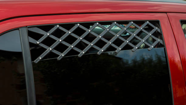 Expandable Car Window vent. Protection and ventilation for pets
