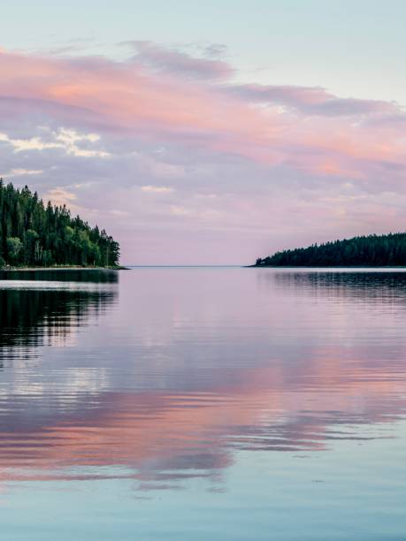 istock Pink Archipelago in Sweden 1331263165