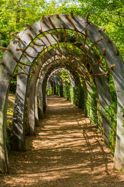 istock Gardens of Marqueyssac 1331263392