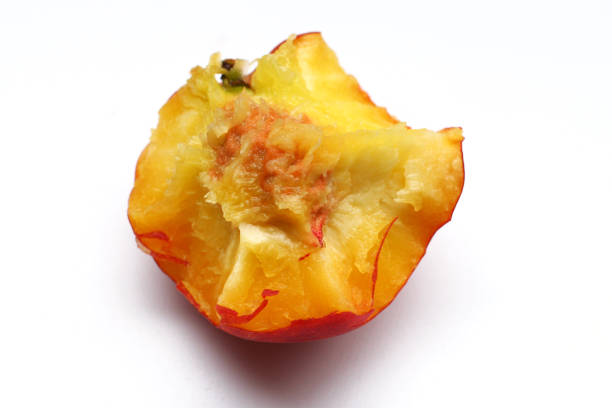 istock Stuffed apricot on a white background close up 1331264767