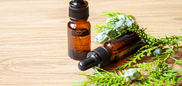 istock Juniper essential oil in a small bottle. Selective focus. 1331264890