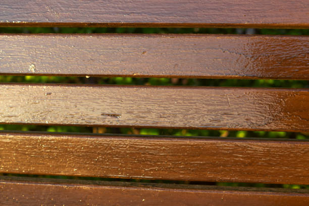 Painted board on a bench Fresh paint on the boards. The background is made of brown boards.
