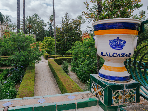 Sevilla, Spain: June-01-2021. Flower pot of the Real Alcázar of Seville with the gardens in the background. The decoration of the flowerpot, prepared for the summer after the pandemic crisis