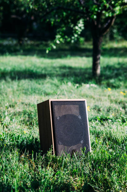 wooden outside speaker outdoors in summer wireless technology